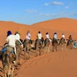 Camel trekking experience during a 5 days desert tour from Marrakech to Merzouga