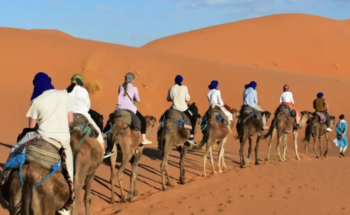 Camel trekking experience during a 5 days desert tour from Marrakech to Merzouga