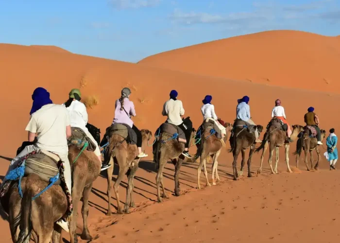 Camel trekking experience during a 5 days desert tour from Marrakech to Merzouga