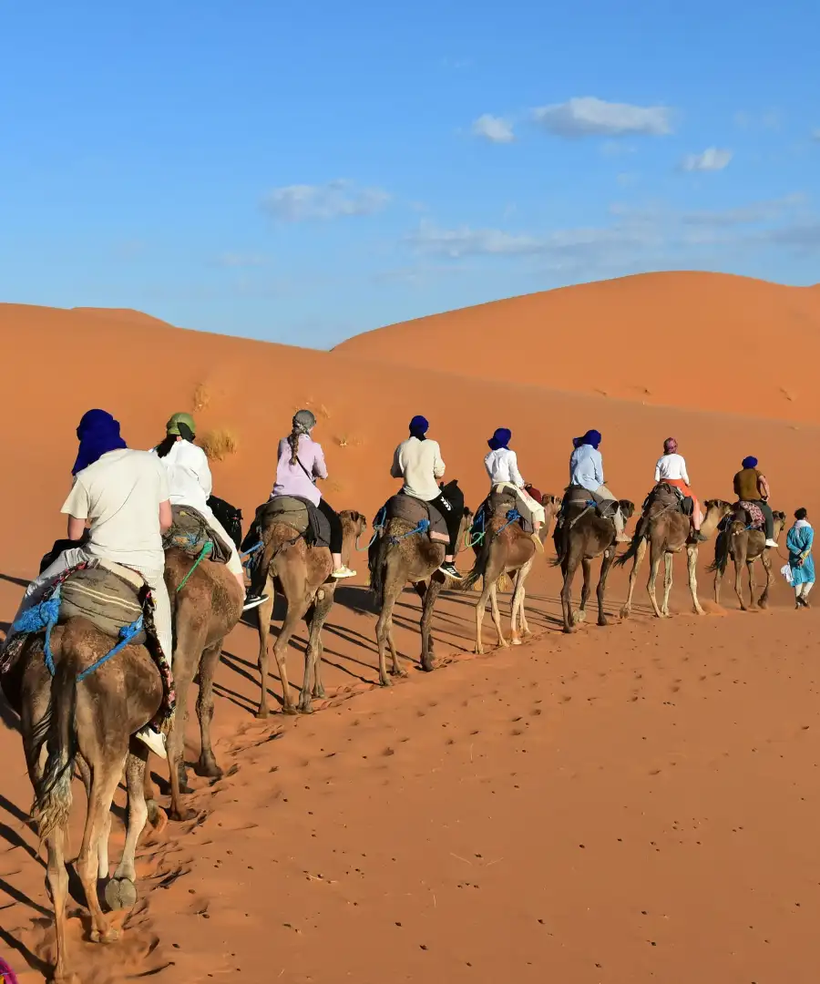 Camel trekking experience during a 5 days desert tour from Marrakech to Merzouga